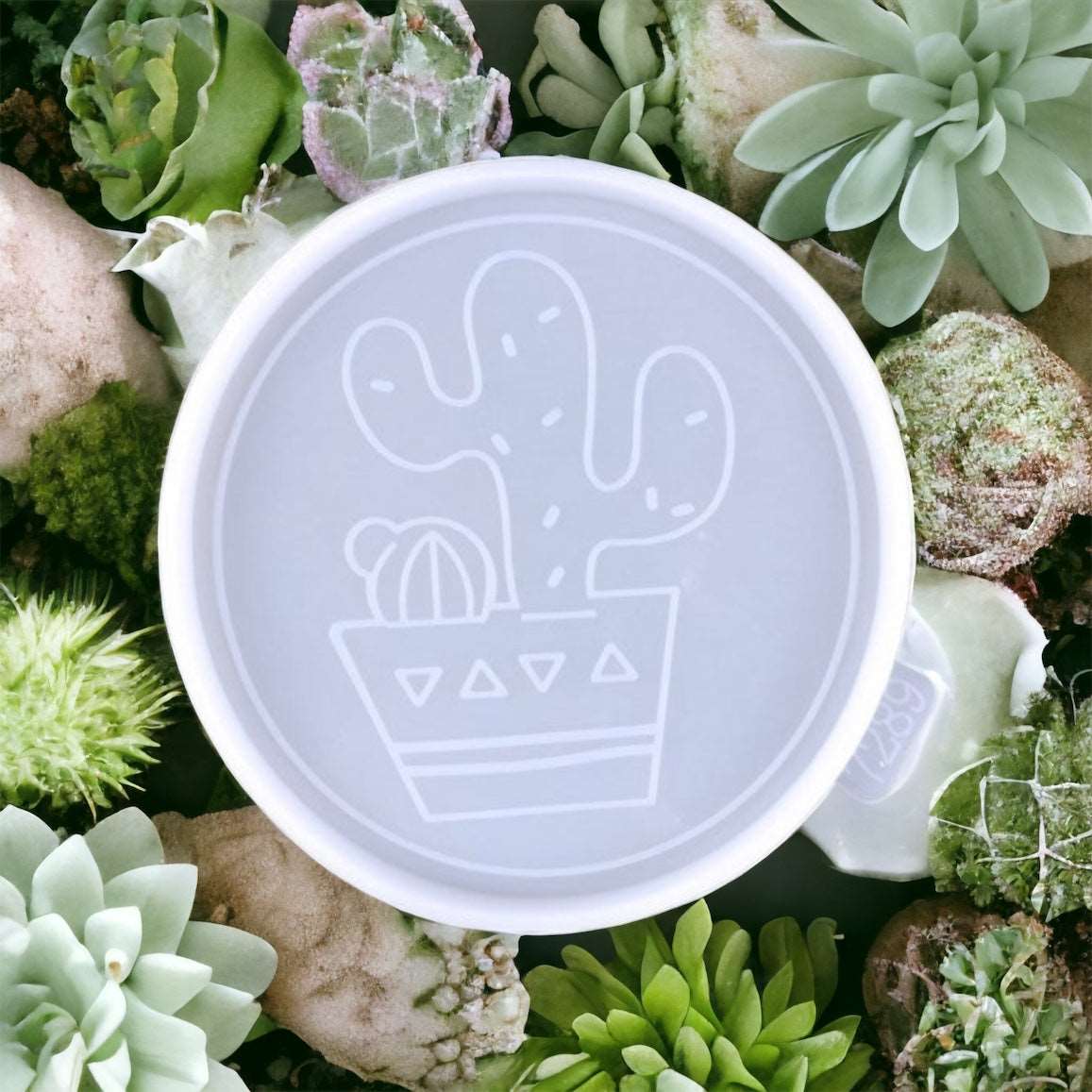 Cactus Plant Coaster (2 pack) - Silicone Mould
