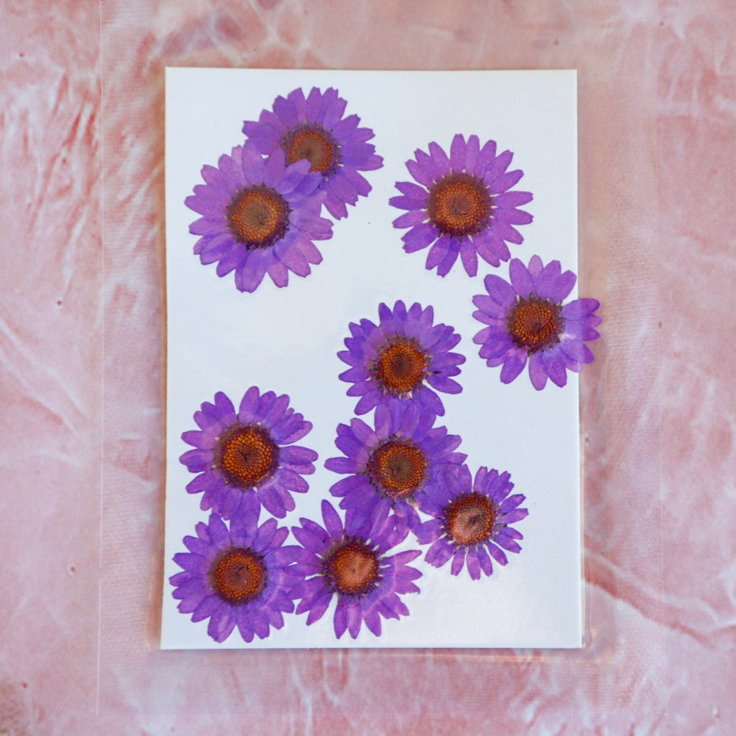 Pressed Flowers - Dark Purple Chrysanthemums, Epoxy Resin Art, Brisbane, Australia