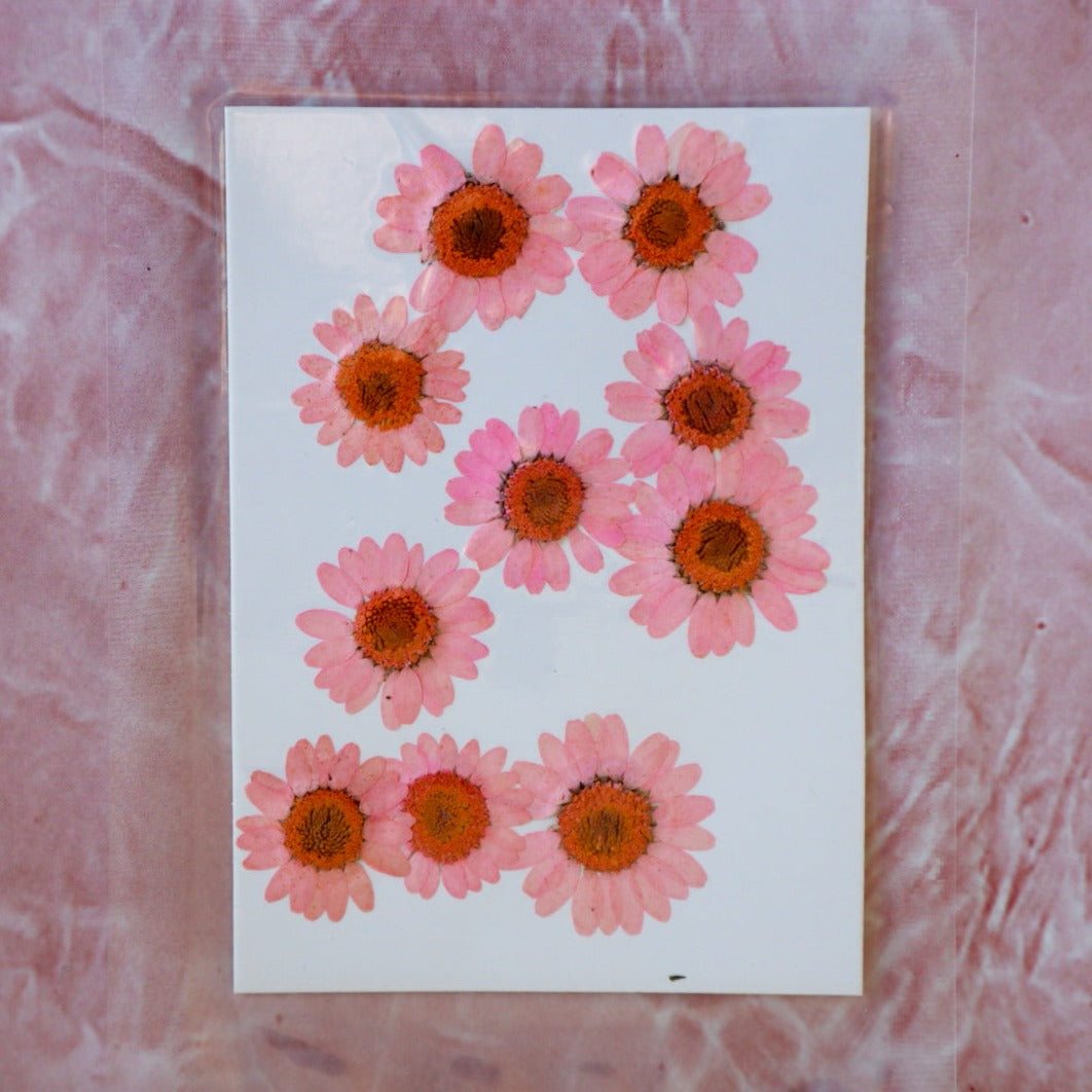 Pressed Flowers - Pink Chrysanthemums, Epoxy Resin Art, Brisbane, Australia