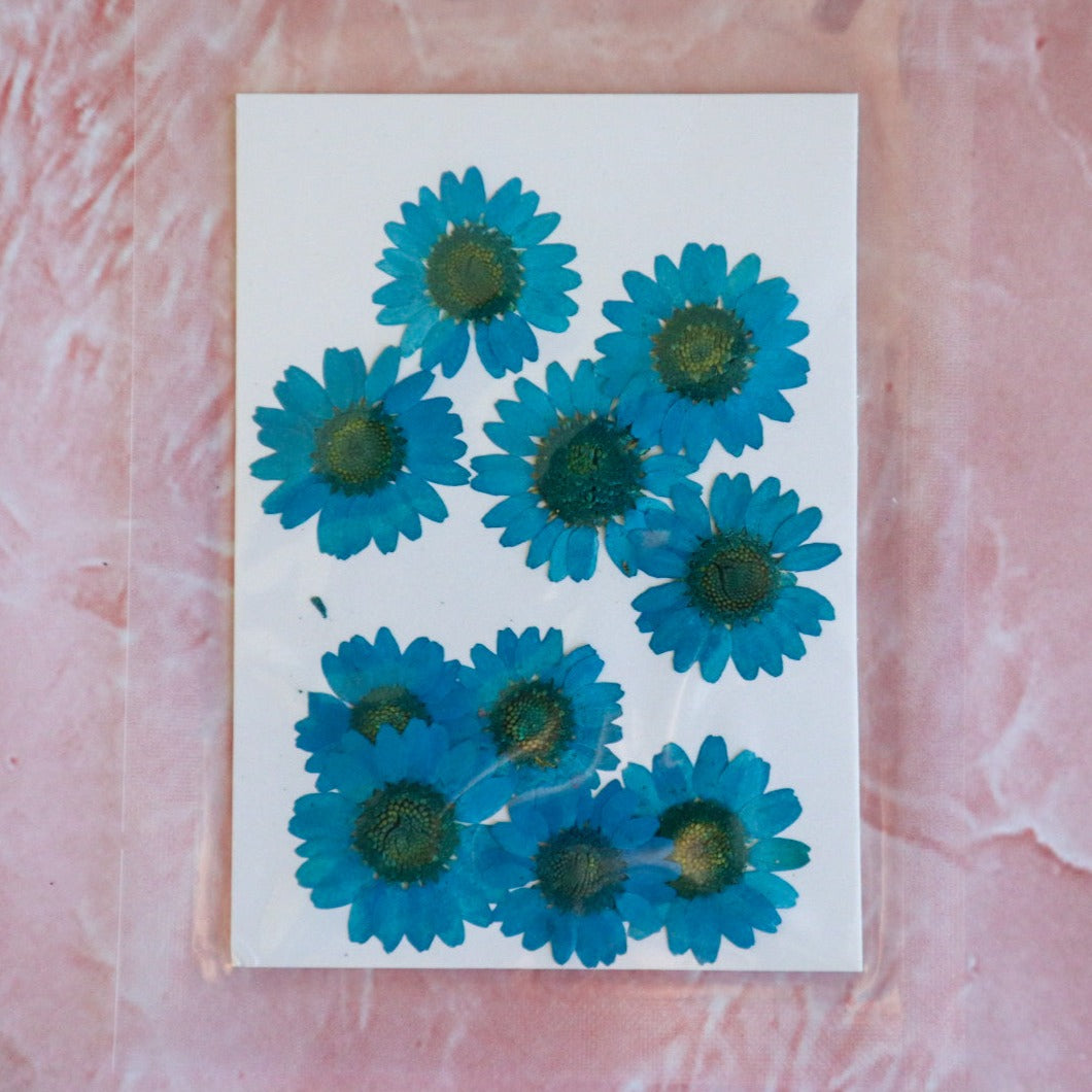 Pressed Flowers - Blue Chrysanthemums, Epoxy Resin Art, Brisbane, Australia