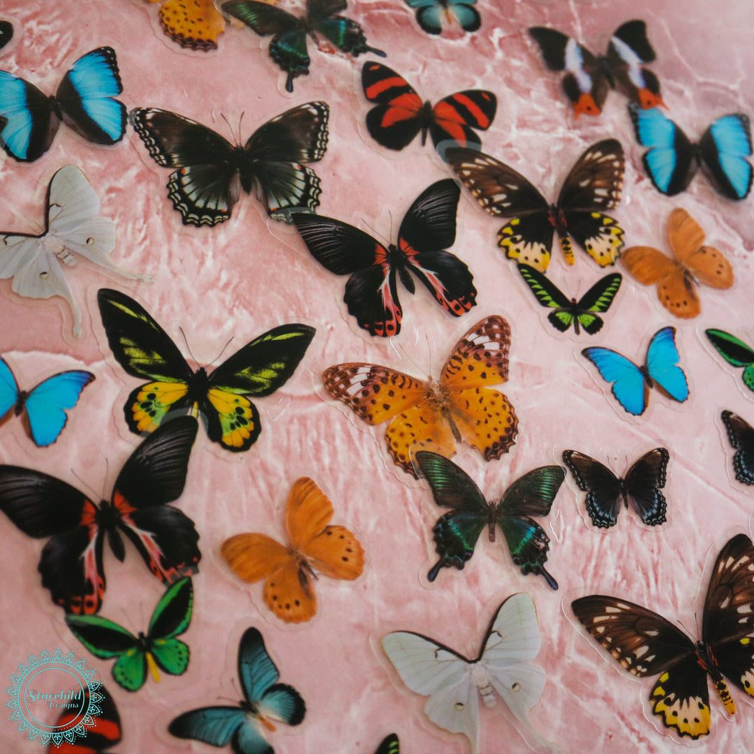 Mixed Butterfly Stickers – Starchild Designs