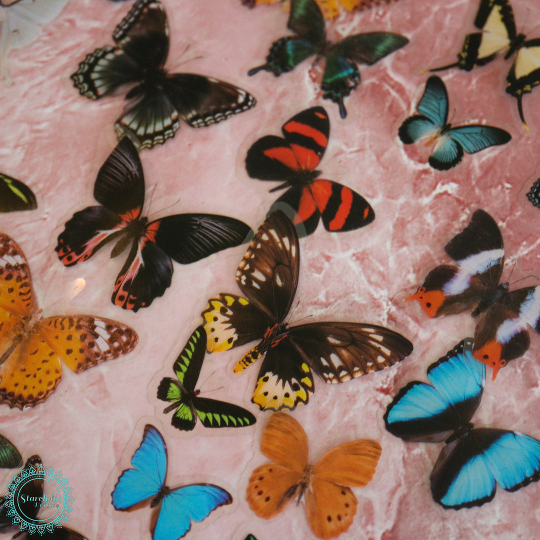 Mixed Butterfly Stickers – Starchild Designs