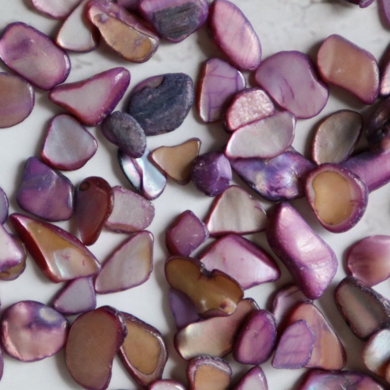Purple Shell Chips – Starchild Designs